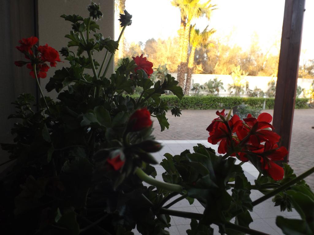 Villetta Del Salento Exclusive B&B Галиполи Екстериор снимка